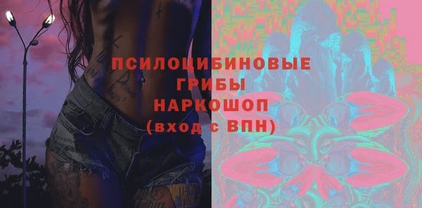 не бодяженный Туринск