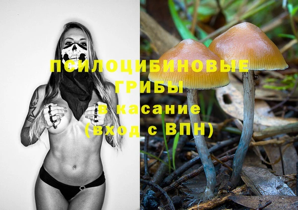 твердый Тында