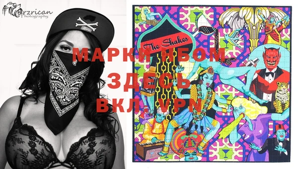 твердый Тында