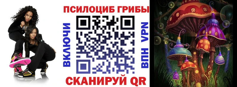 Купить  Судак  Галлюциногенные грибы прущие грибы 